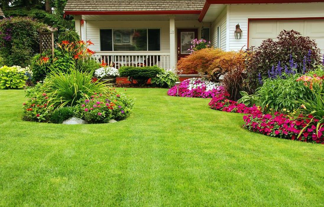 Buchanan Lawn and Tree Service - San Antonio, TX