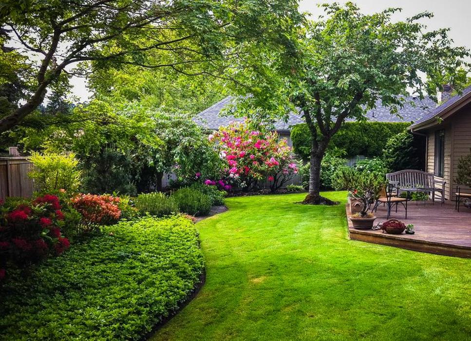 Buchanan Lawn and Tree Service - San Antonio, TX