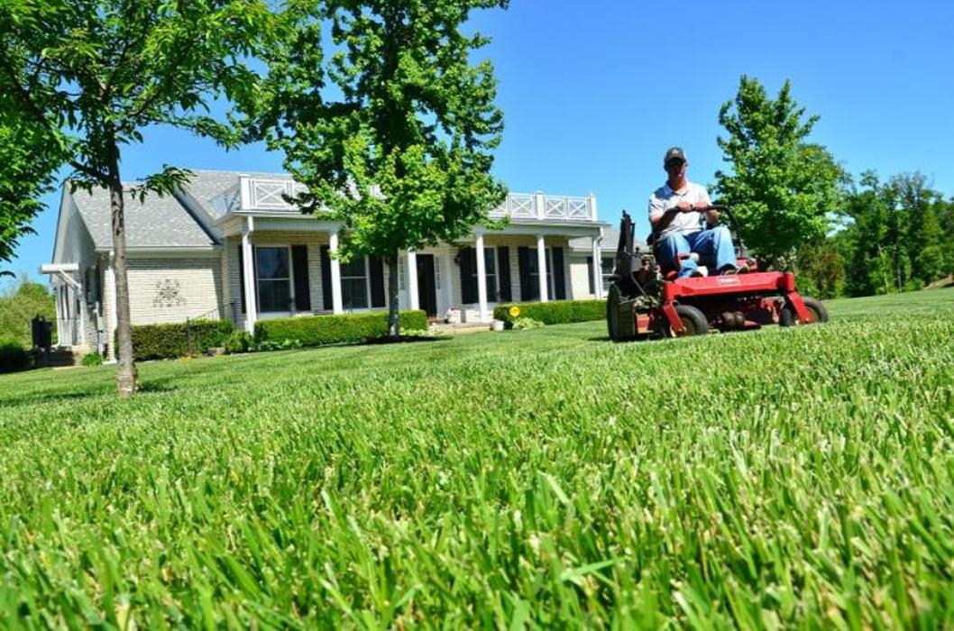 Buchanan Lawn and Tree Service - San Antonio, TX