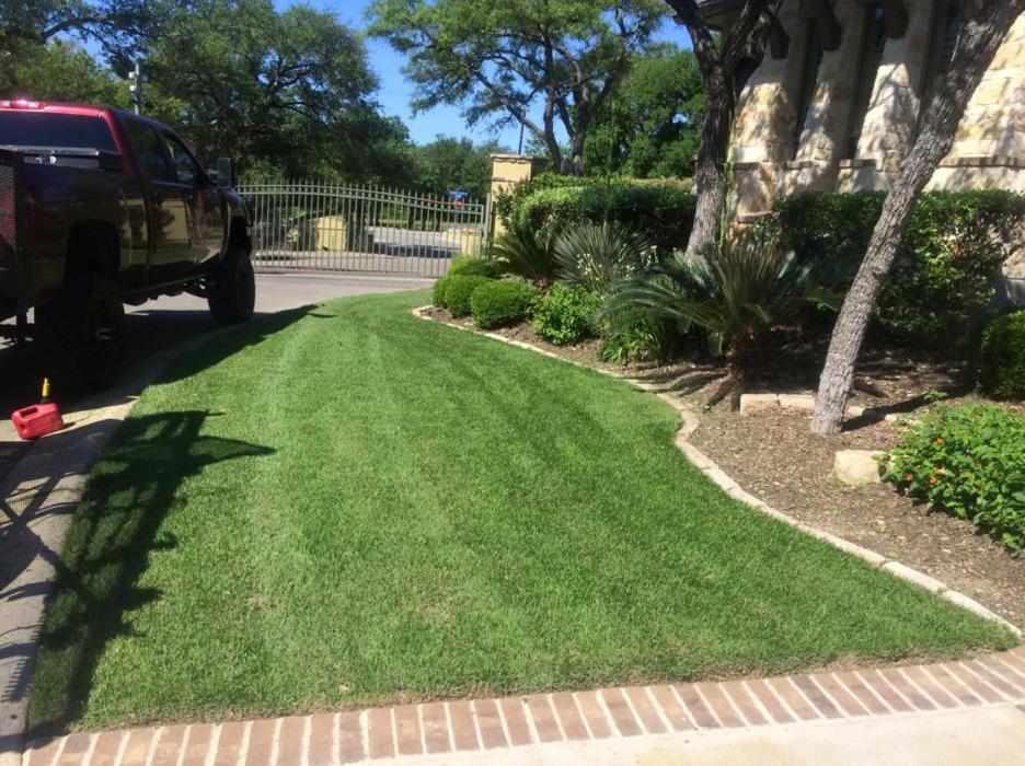 Buchanan Lawn and Tree Service - San Antonio, TX