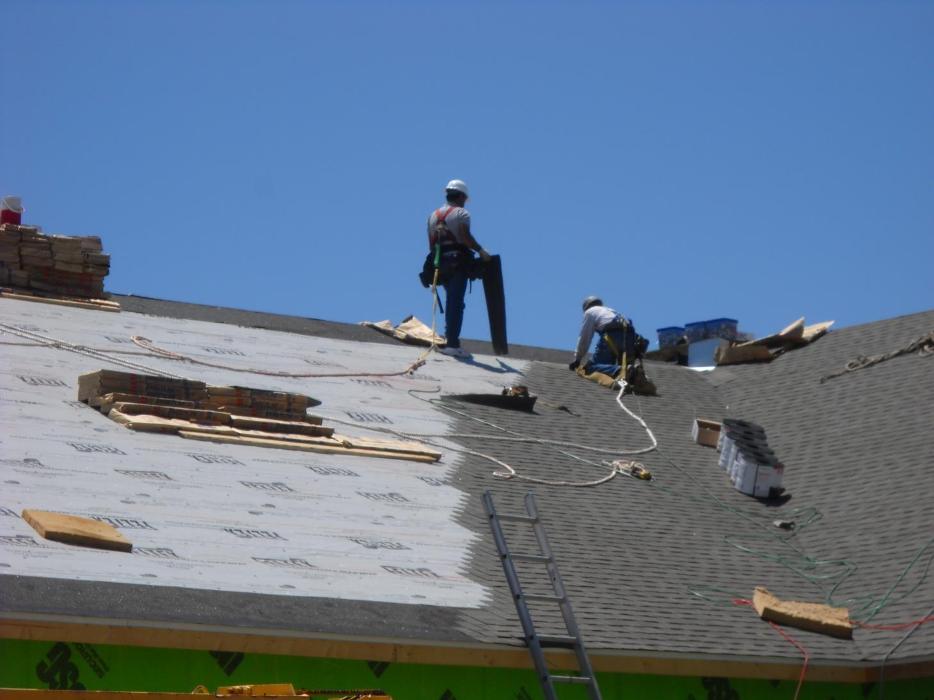 Palta Construction, LLC - Orange, NJ