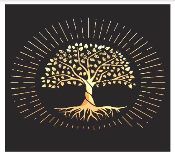 Lecussan Sylvain médecin généraliste