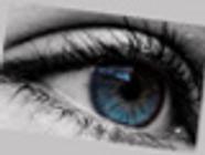 Optique Des Vosges entrepôt et magasin général