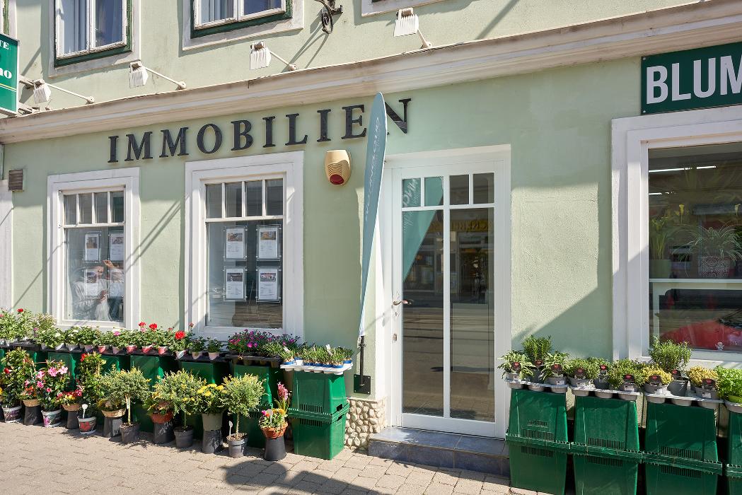 Wohncloud Immobilien GmbH, Lainzer Straße in Wien