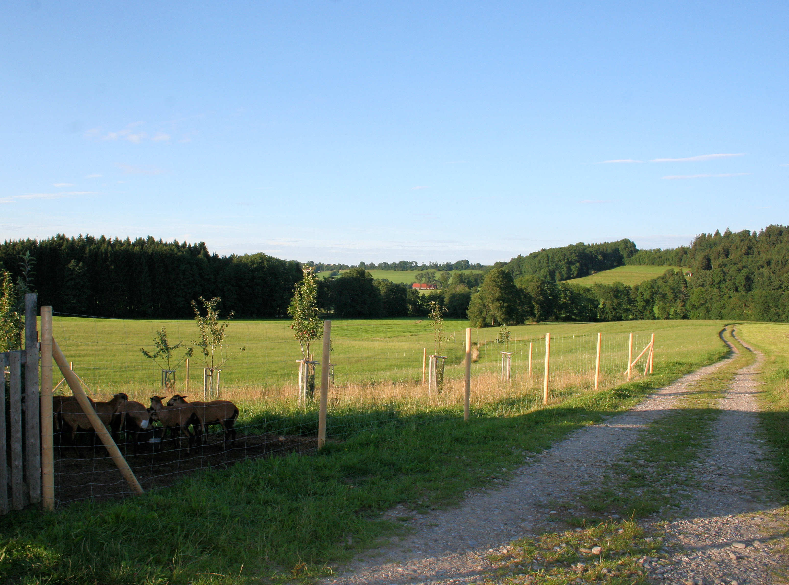 Galerie-Thumbnail