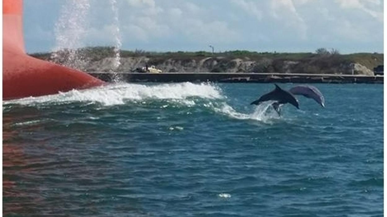 Port "A" Bay Charters &amp; Gulf Coast Adventure - Aransas Pass, TX