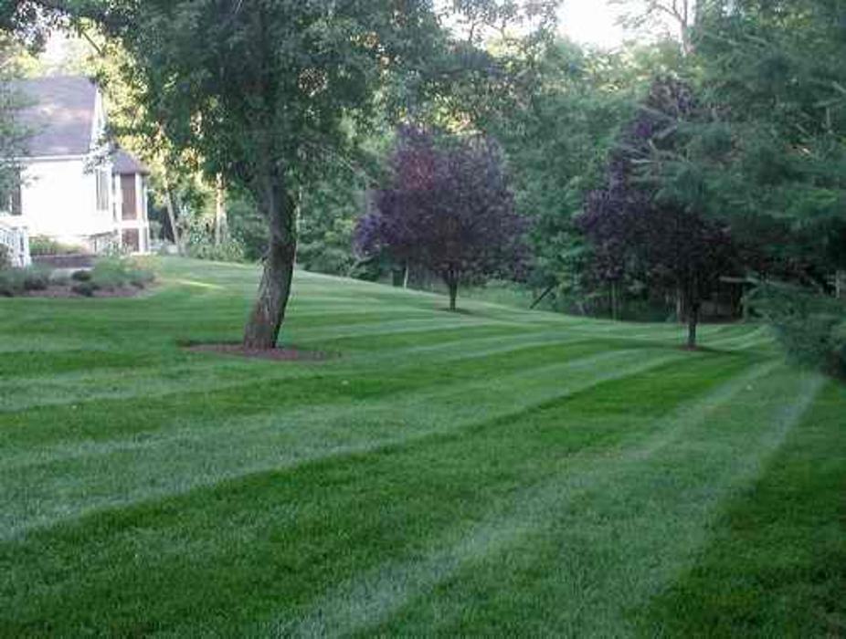 Go Green Landscapes - Williamston, MI