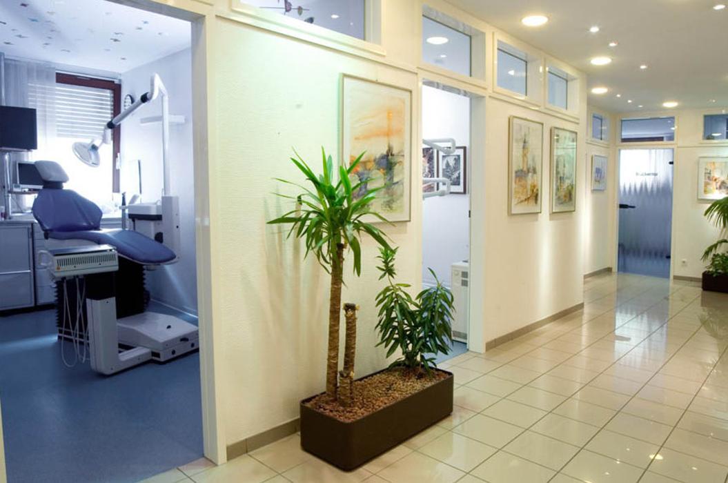 Zahnärztin Dr. med. dent. Aynur Sahin-Kurul, Blumenstraße in Heidelberg