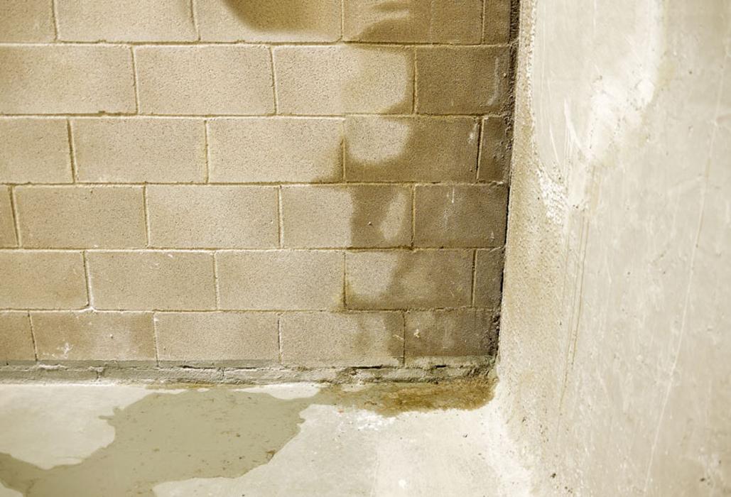 Basement Cracks & Leaks Metro, Inc. - Fenton, MI