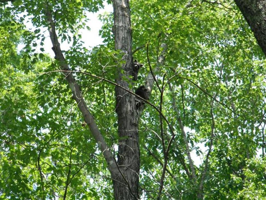 Coleman Farm Supply Inc. Image