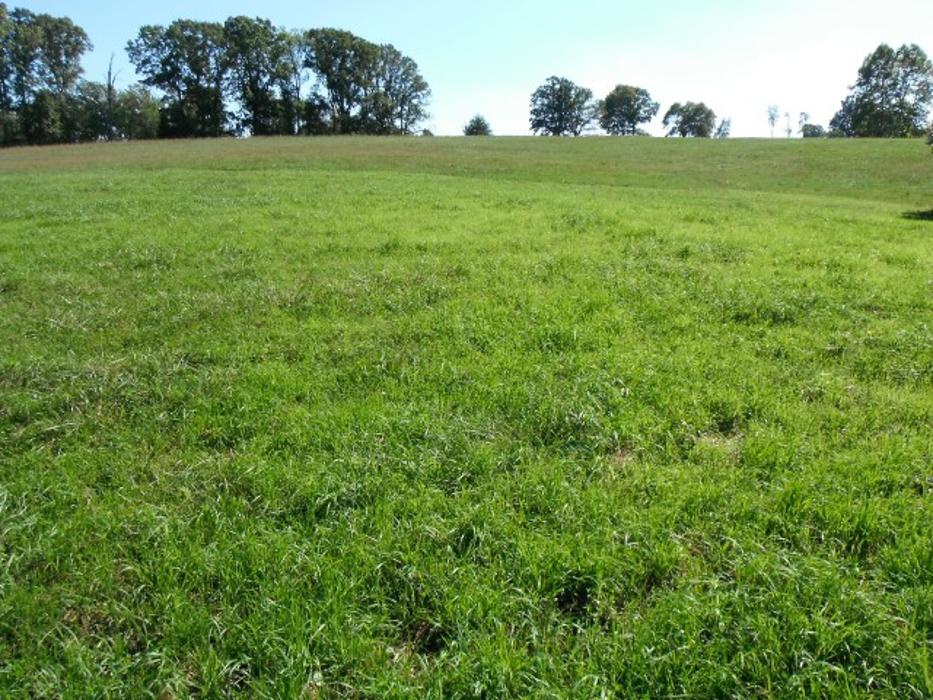 Coleman Farm Supply Inc. Image