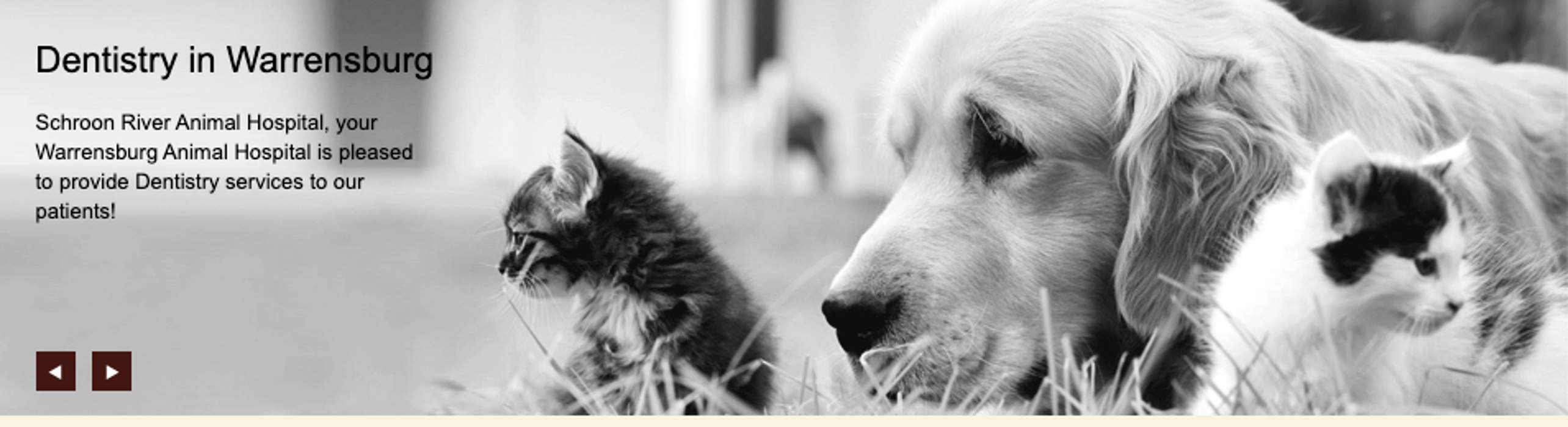 Schroon River Animal Hospital