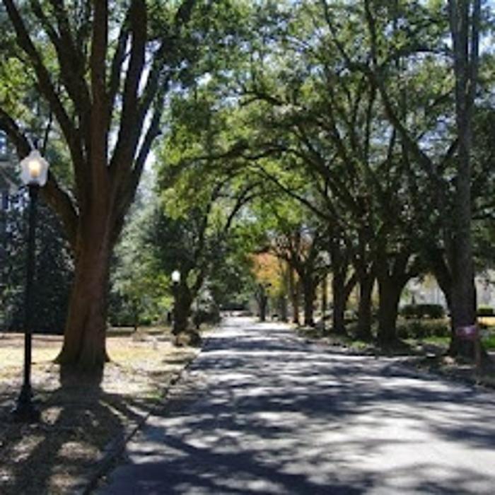 Carter Real Estate - Laurel, MS