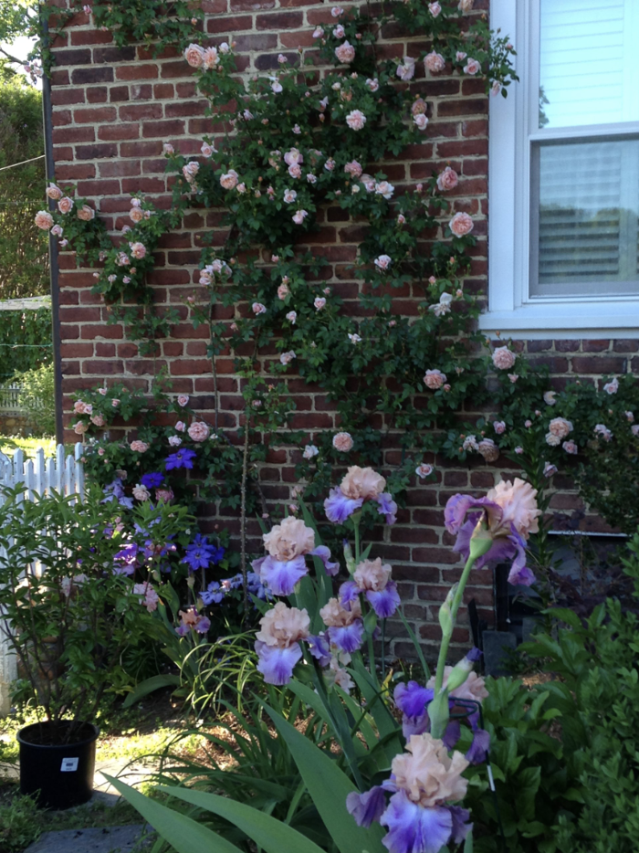 Manchester Gardening LLC Image