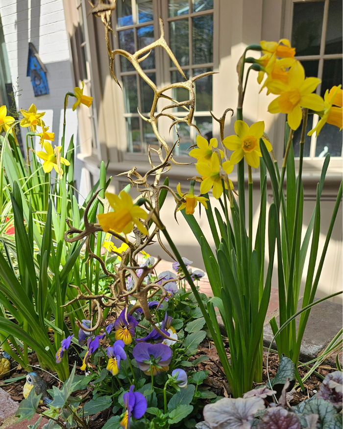 Manchester Gardening LLC Image