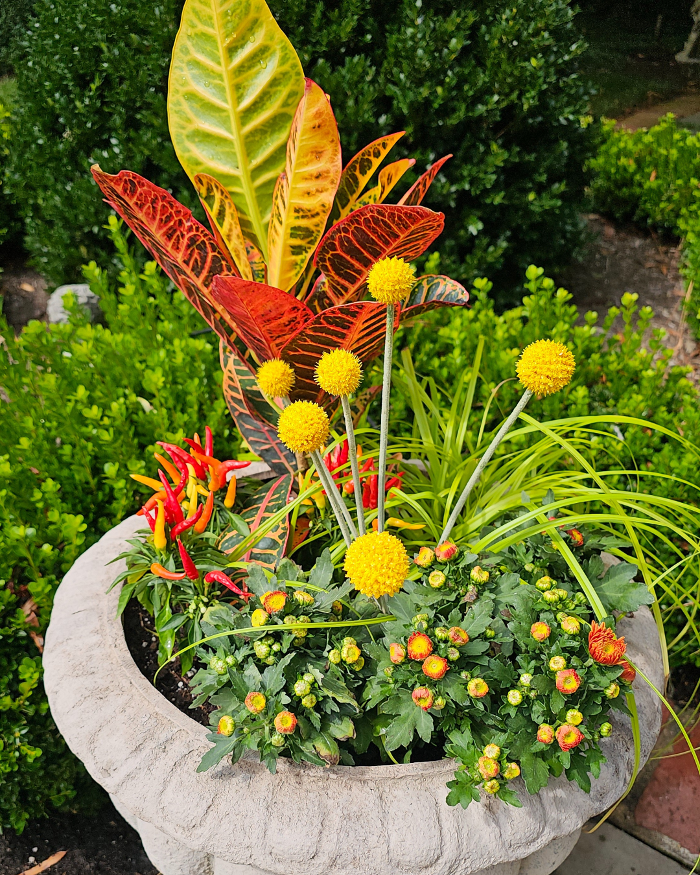 Manchester Gardening LLC Image