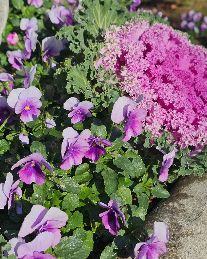 Manchester Gardening LLC Image