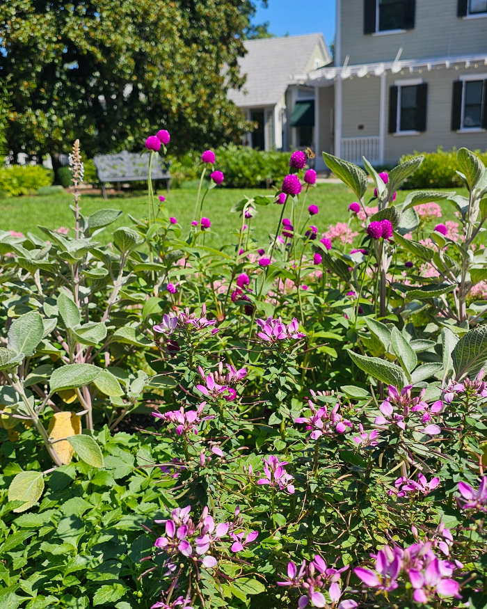 Manchester Gardening LLC Image