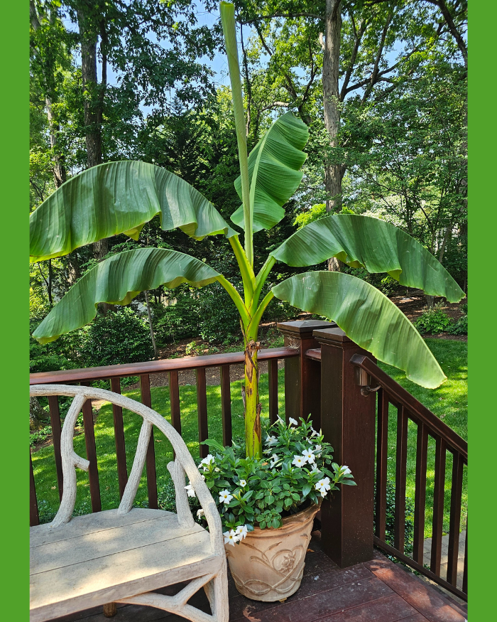 Manchester Gardening LLC Image