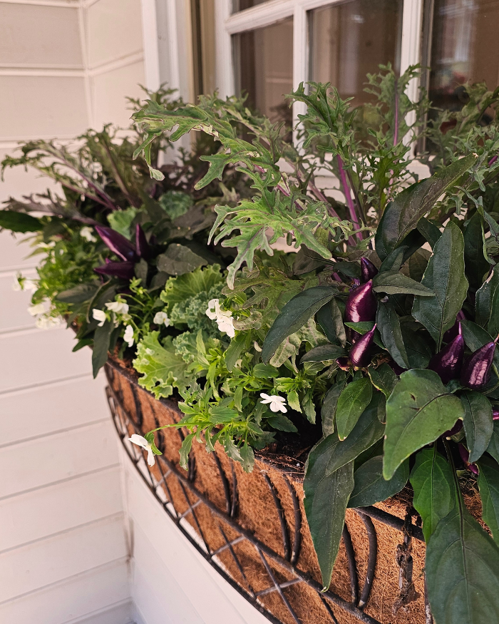 Manchester Gardening LLC Image