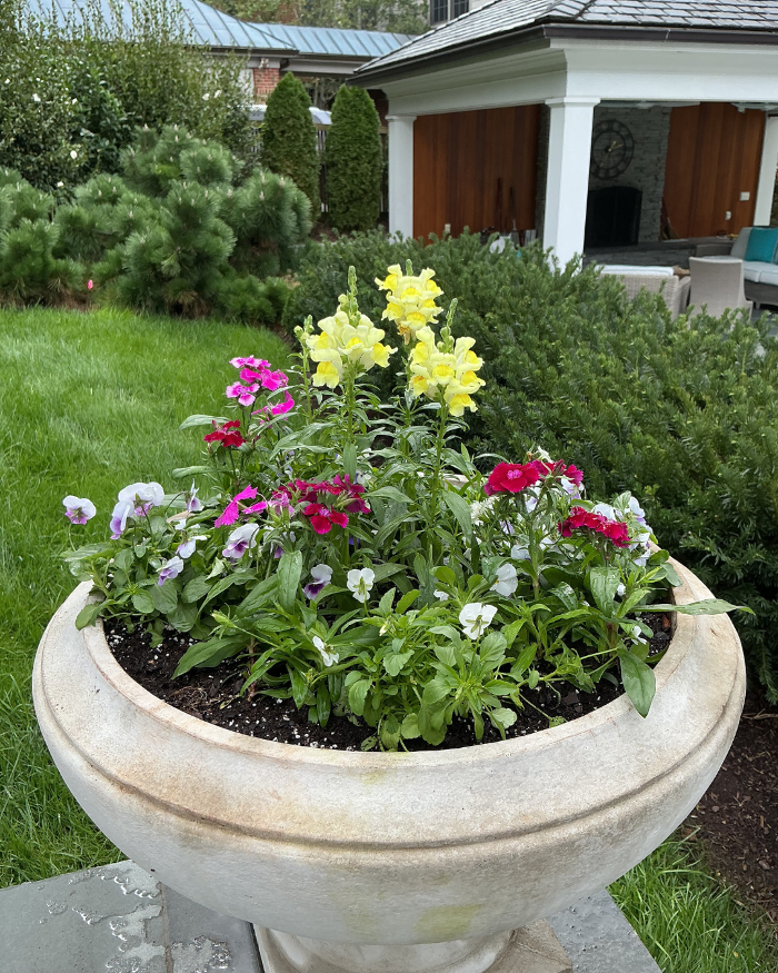 Manchester Gardening LLC Image