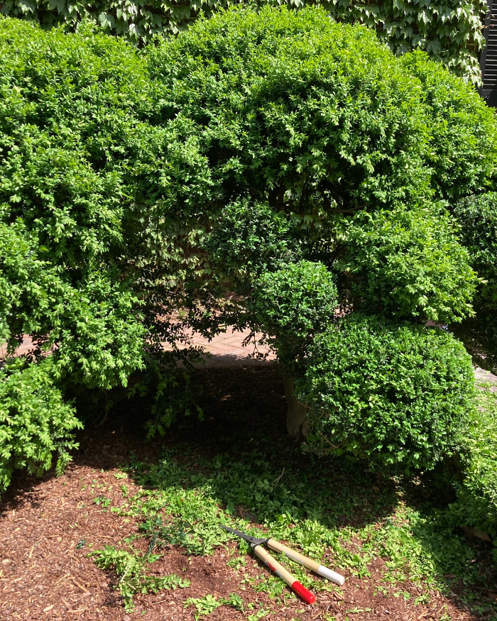 Manchester Gardening LLC Image