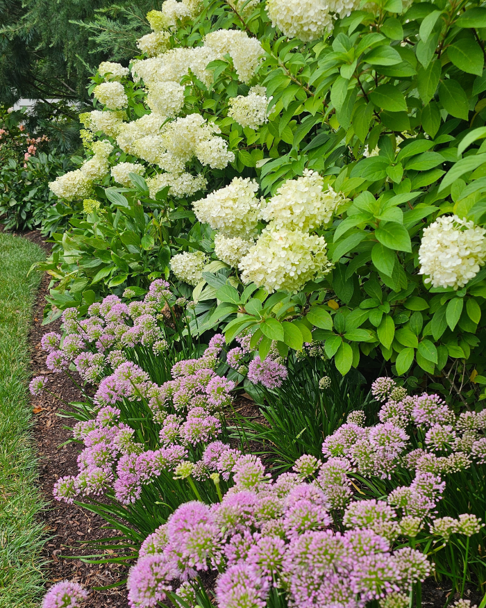 Manchester Gardening LLC Image