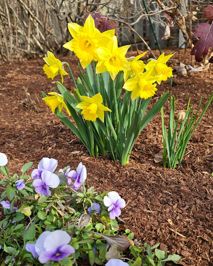 Manchester Gardening LLC Image