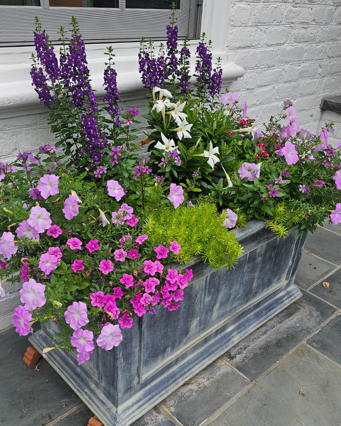 Manchester Gardening LLC Image