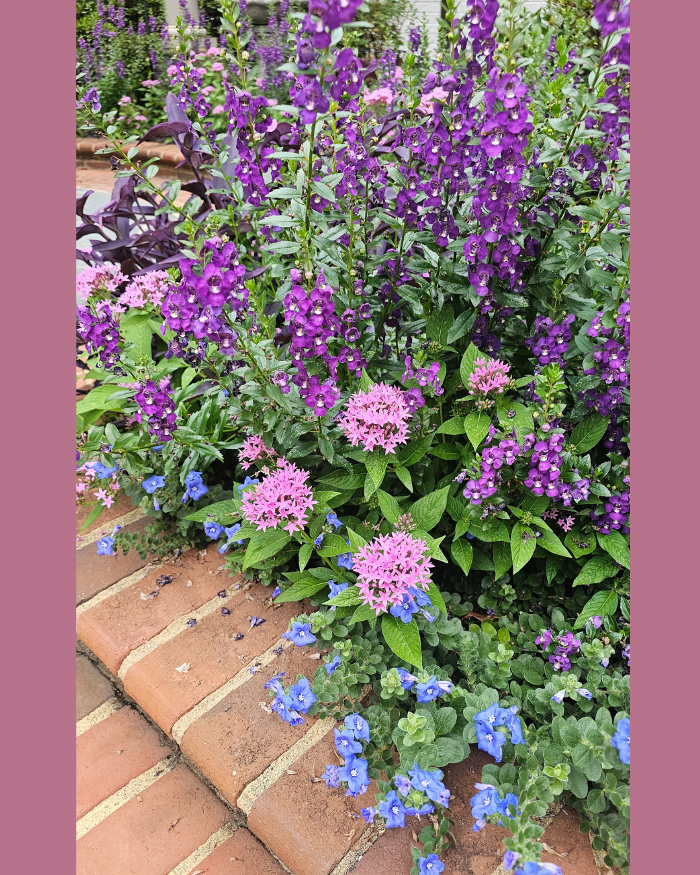 Manchester Gardening LLC Image