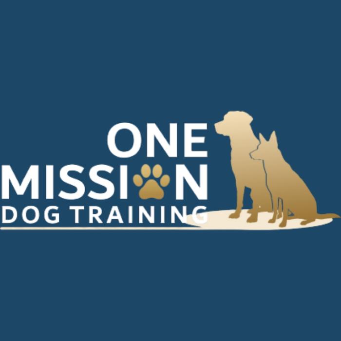 Dog Training Elite Boston