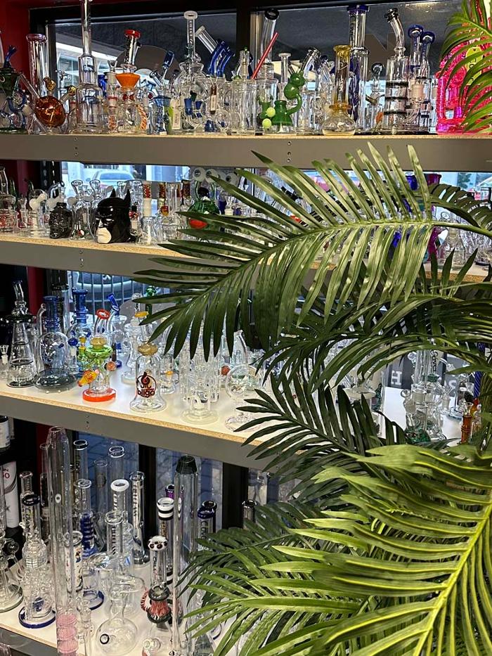 Glass Monkey Smoke Shop - Scottsdale, AZ