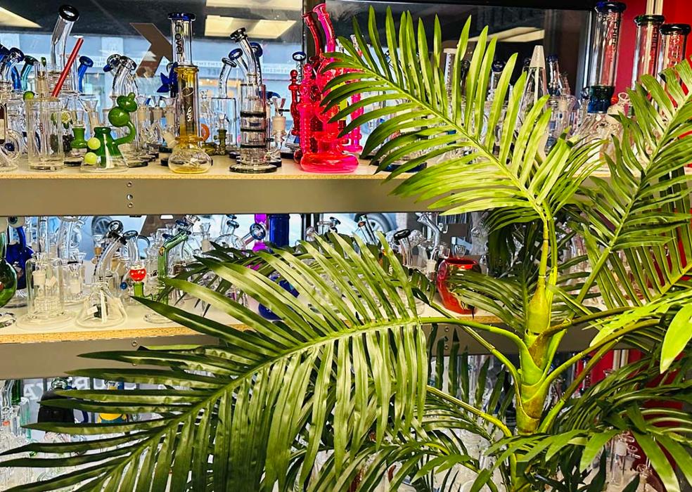 Glass Monkey Smoke Shop - Scottsdale, AZ