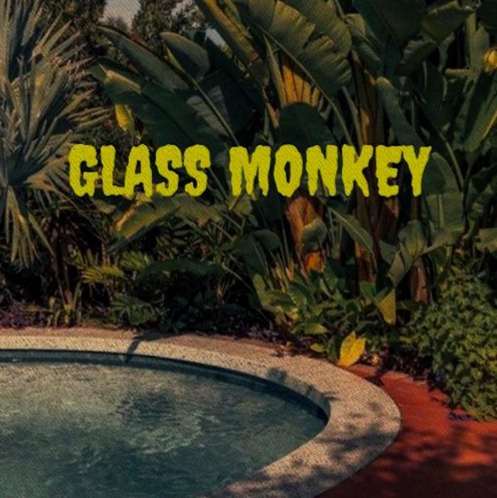 Glass Monkey Smoke Shop - Scottsdale, AZ