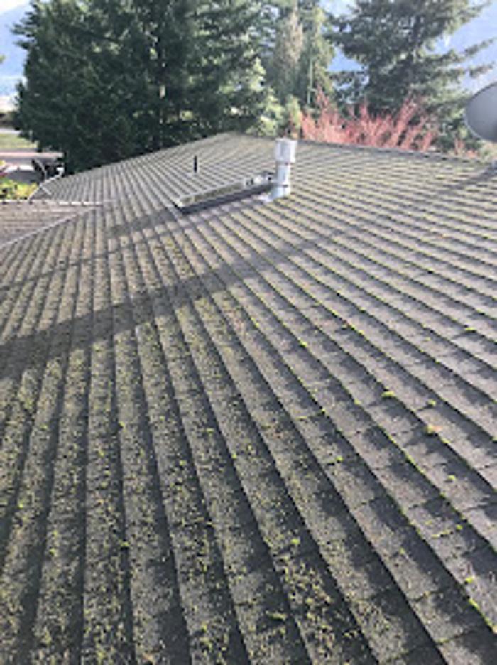 Rite Size Pest Control and Moss Removal Inc. - Washougal, WA