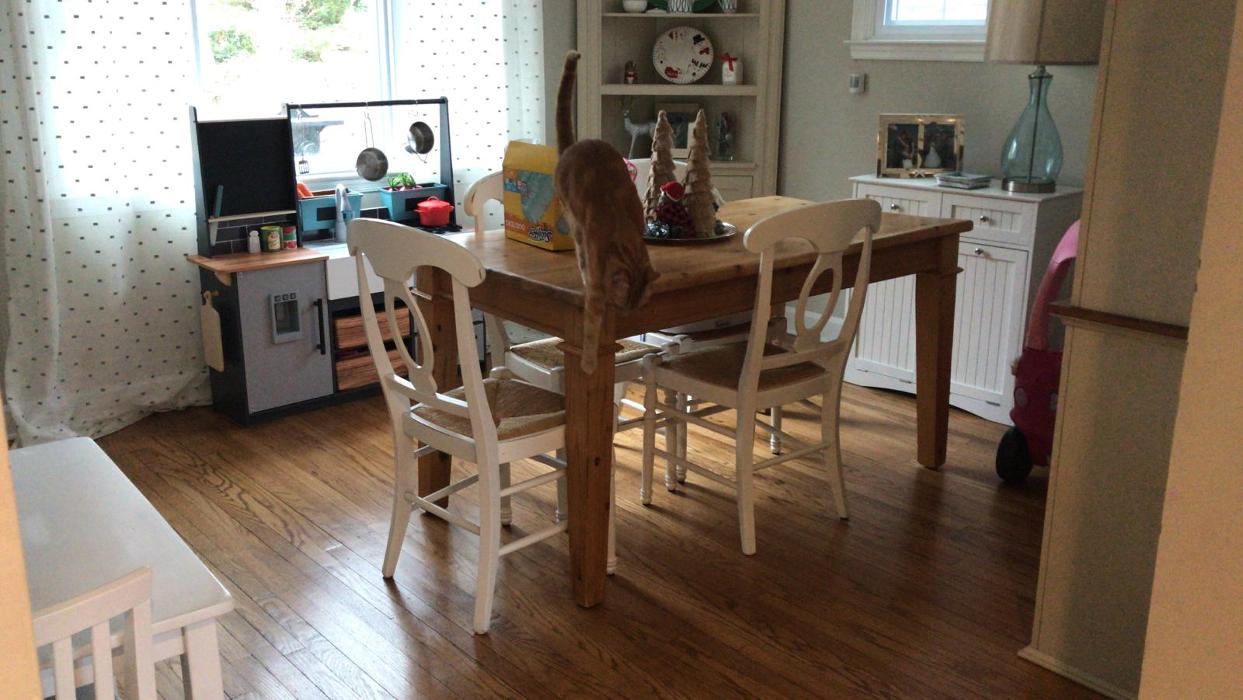 SOL USA CLEANING - Wayne, PA