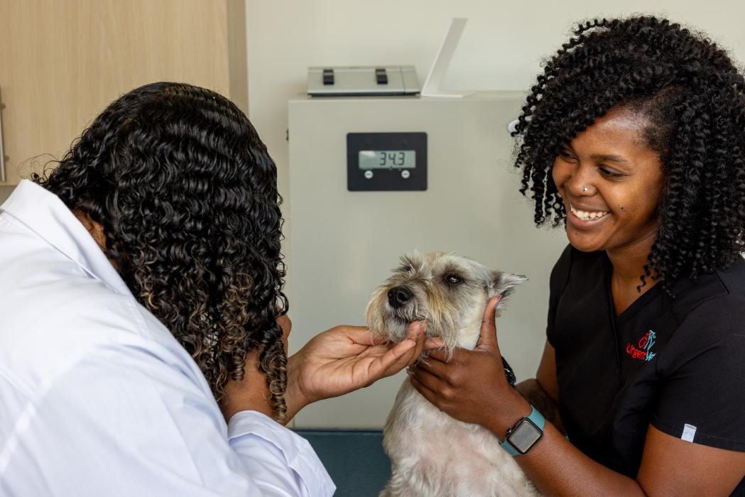 UrgentVet - Gainesville, FL