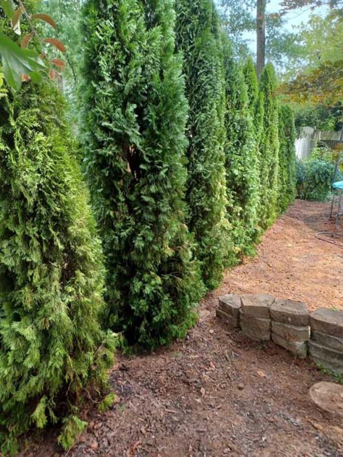 SR Remodeling & Install - Norcross, GA