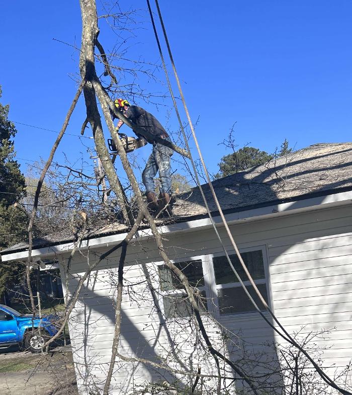Tree MD LLC - Columbus, GA
