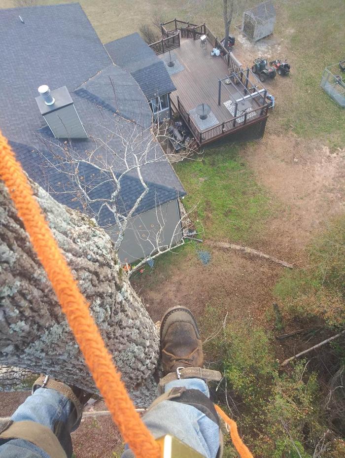 Tree MD LLC - Columbus, GA