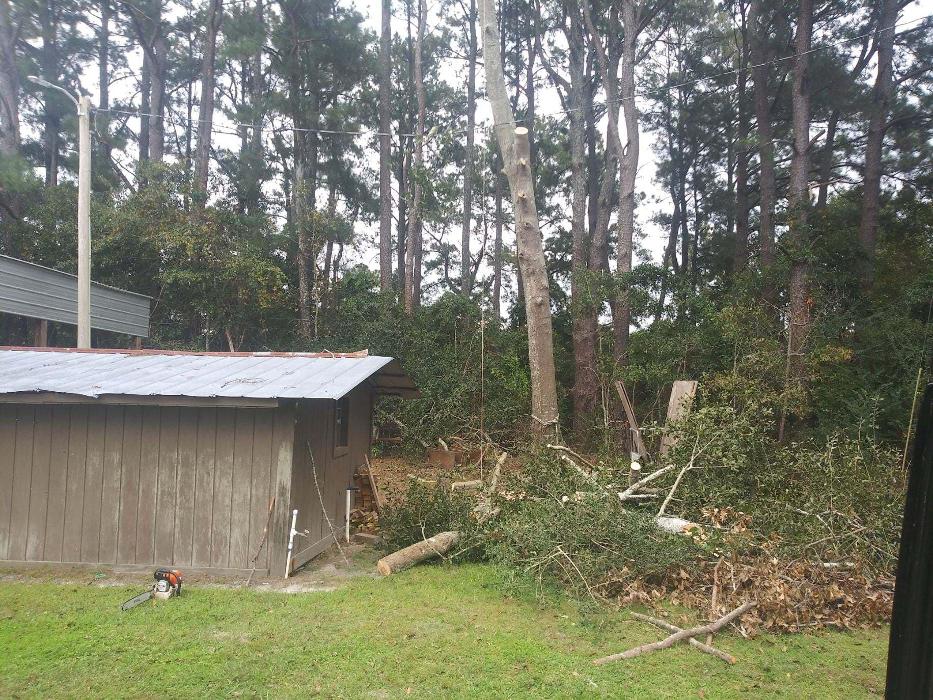 Tree MD LLC - Columbus, GA