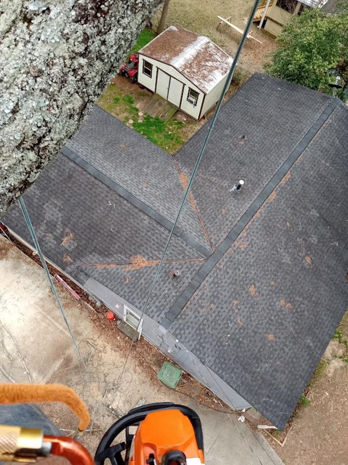 Tree MD LLC - Columbus, GA