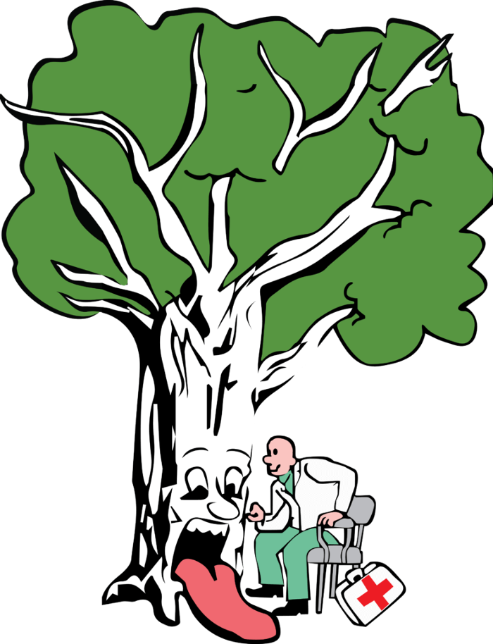 Tree MD LLC - Columbus, GA