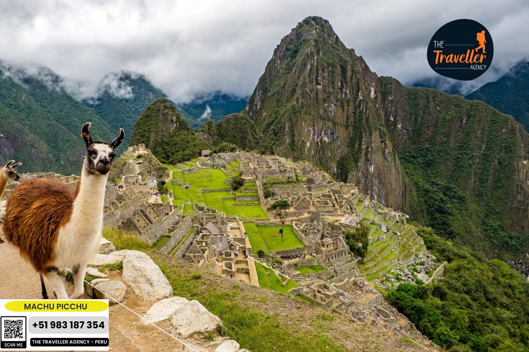 The Traveller Agency - Rochester, PA