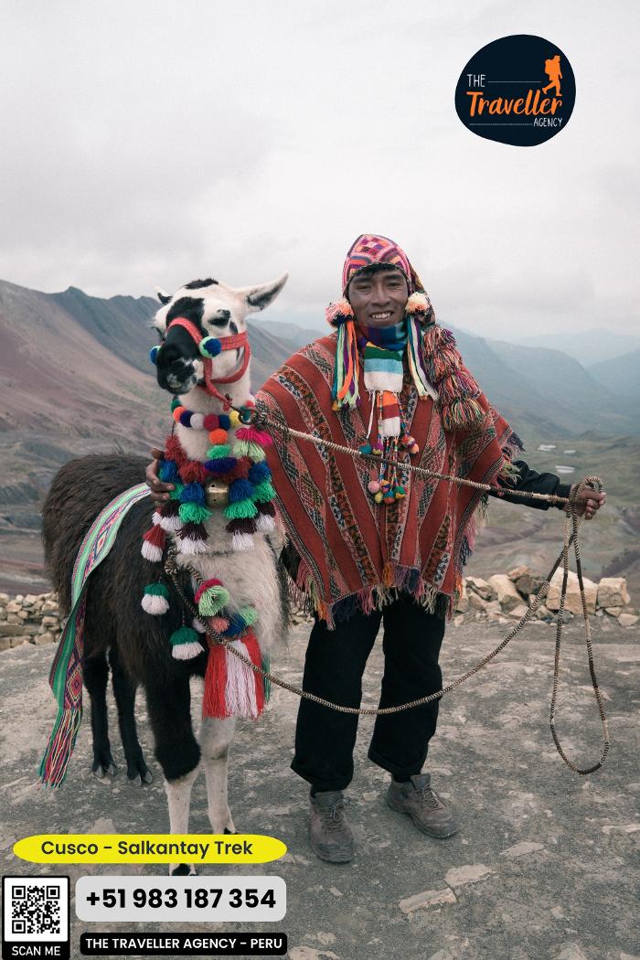 The Traveller Agency - Rochester, PA