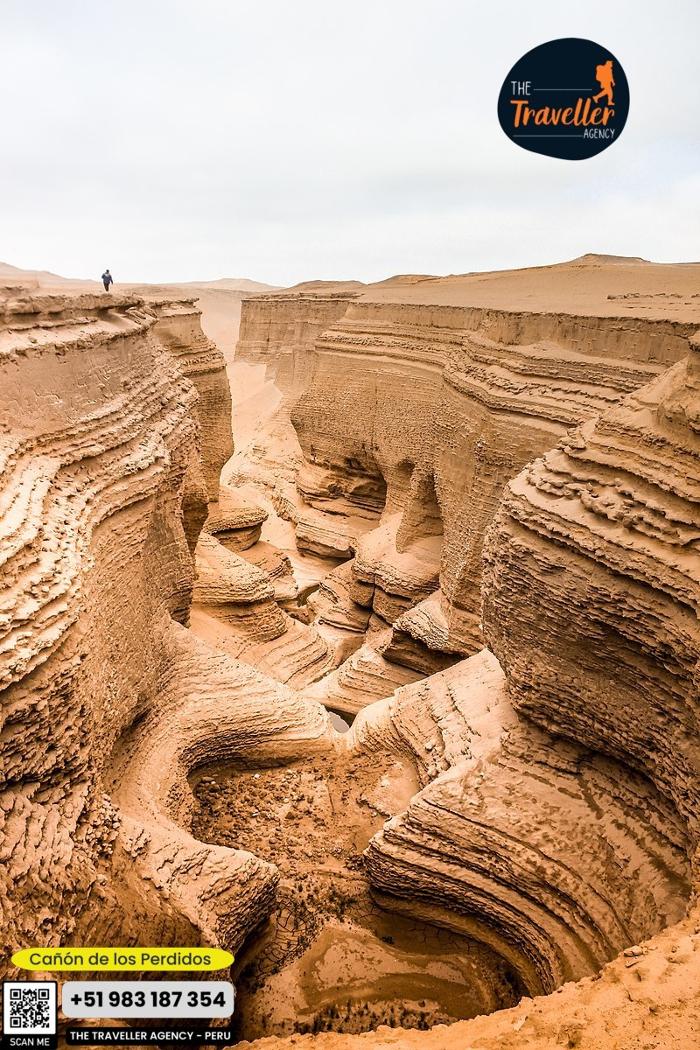 The Traveller Agency - Rochester, PA