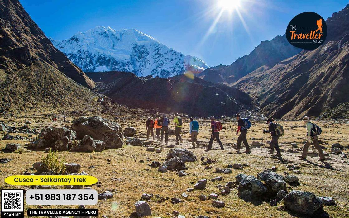 The Traveller Agency - Rochester, PA