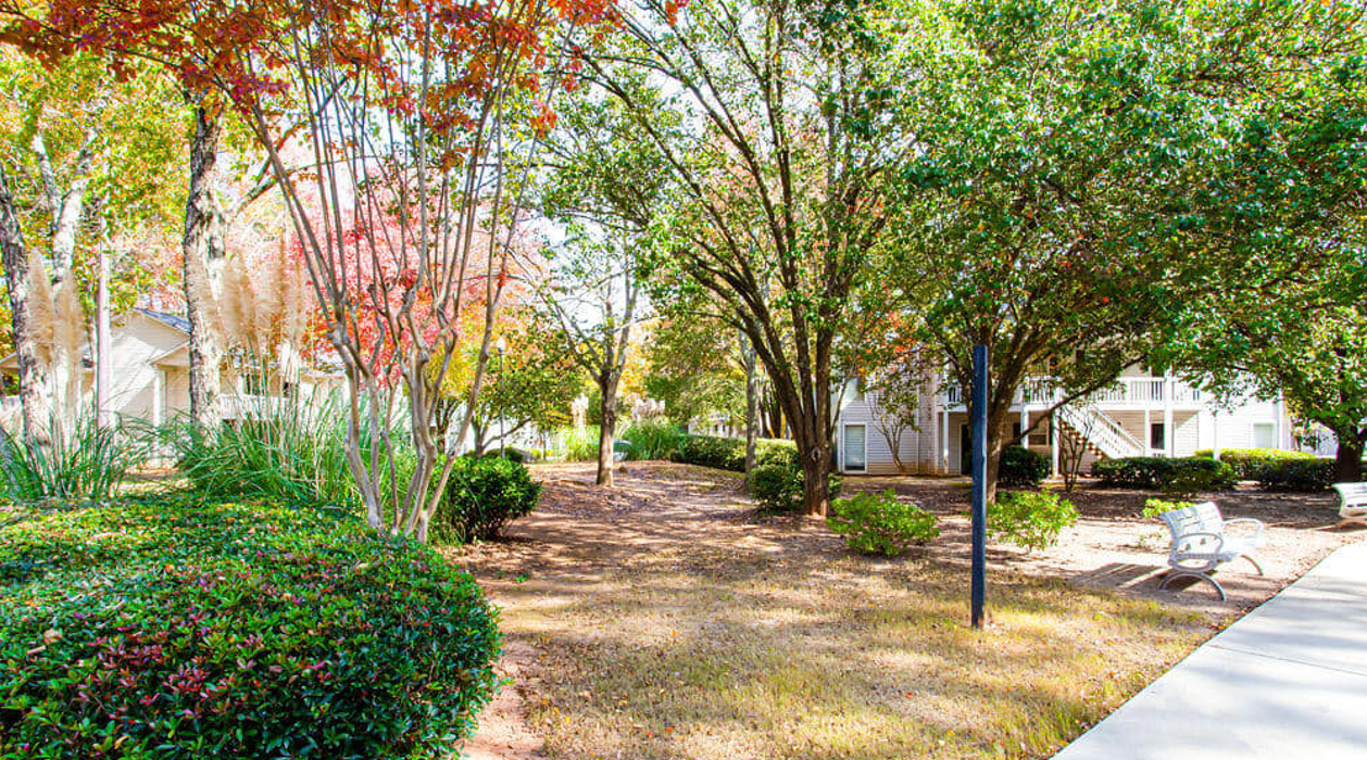 Hairston Woods - Stone Mountain, GA