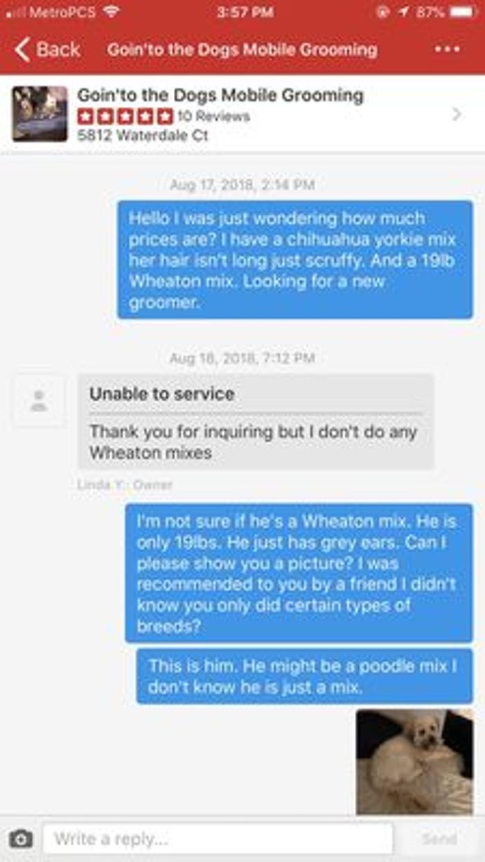 Goin' To the Dogs Mobile Groom - Centreville, VA