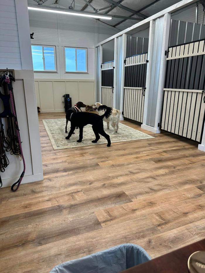 Regal K9's - Queen Creek, AZ